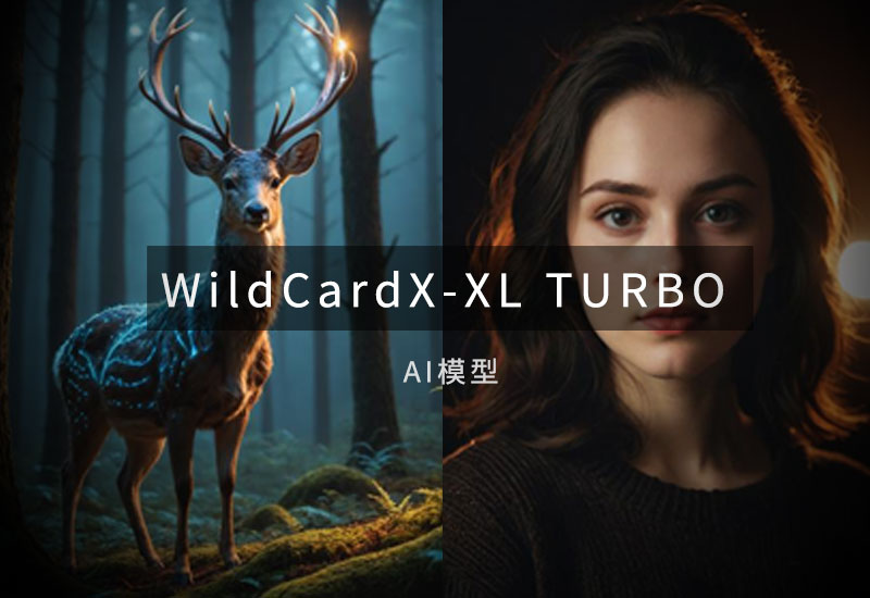 全能模型WildCardX-XL TURBO-数字折叠