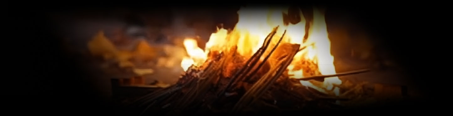 CogVideoX-Fun-V1.1-5b-Control 模型下载