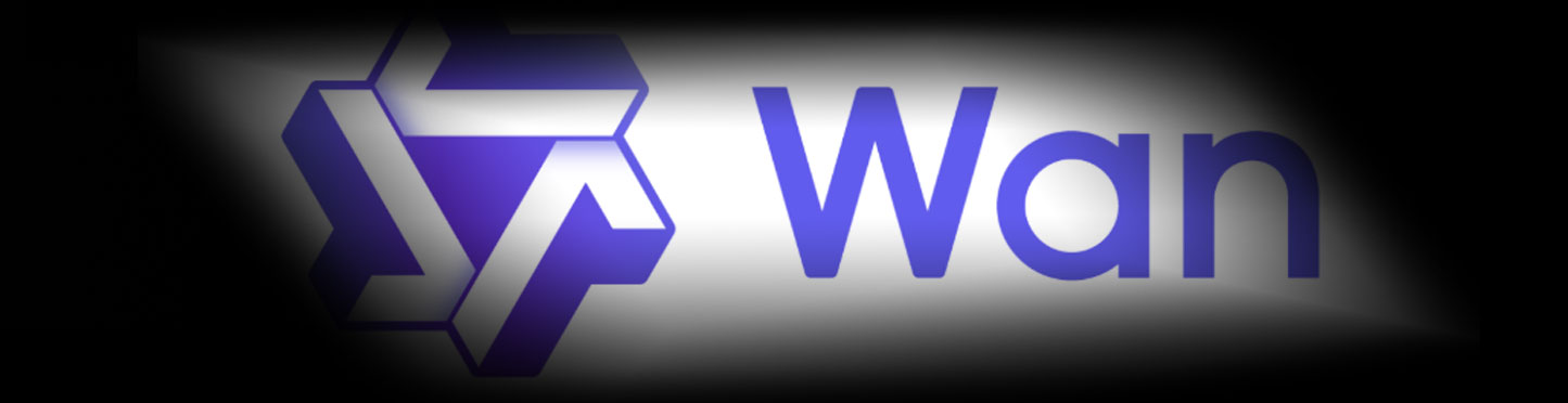 阿里通义Wan视频大模型下载（kijai版）