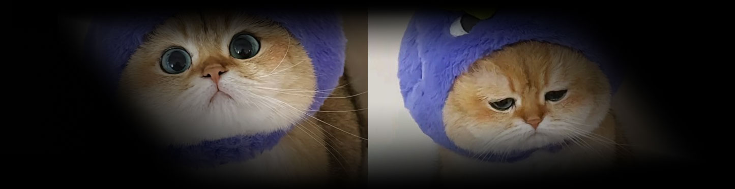 ComfyUI-WanStartEndFramesNative wan首尾帧插件