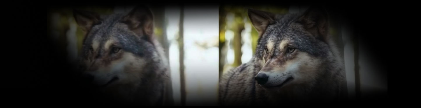 Wan2.1细节增强LoRA模型wan2.1-1.3b-control-lora-tile-v0.2