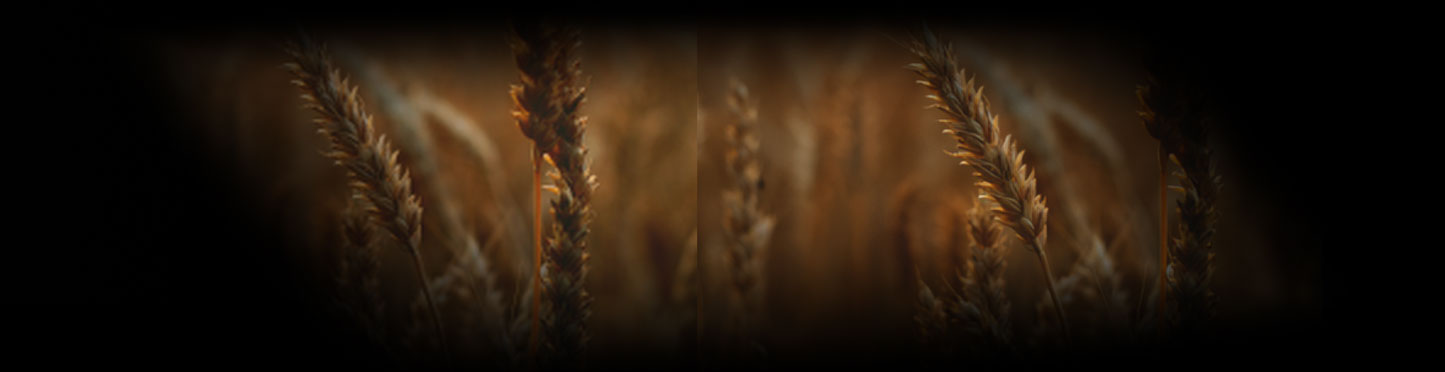 2倍高清放大模型2xNomosUni_span_multijpg_ldl