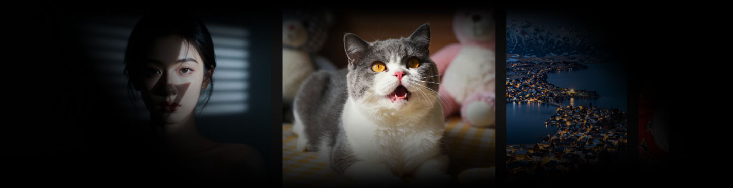 阿里造相Z-Image系列模型