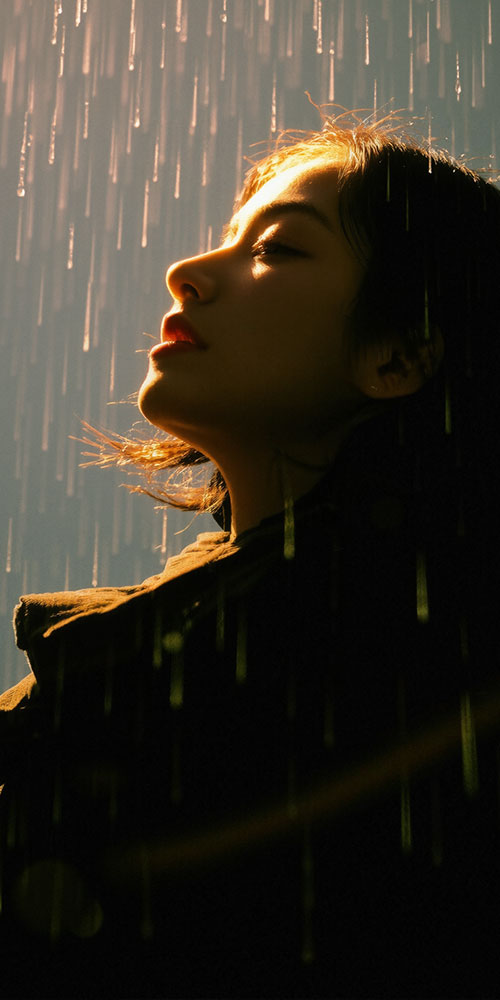 cgdream的头像-数字折叠